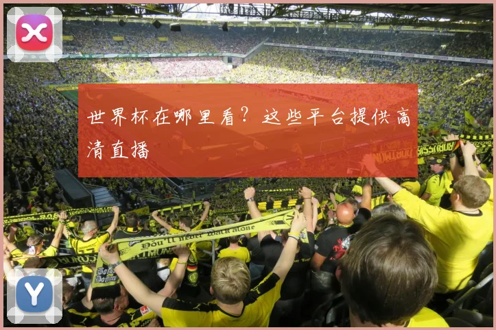 世界杯在哪里看？这些平台提供高清直播