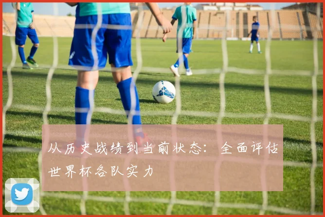 从历史战绩到当前状态：全面评估世界杯各队实力