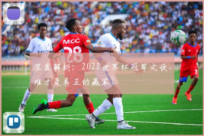 深度解析：2021世界杯冠军之夜，谁才是真正的赢家？