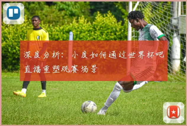 深度分析：小度如何通过世界杯吧直播重塑观赛场景