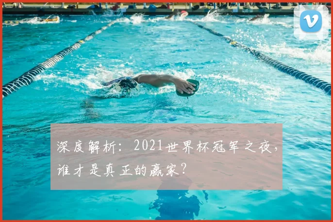 深度解析：2021世界杯冠军之夜，谁才是真正的赢家？